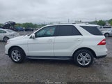 MERCEDES-BENZ ML 350 4MATIC 4JGDA5HB1EA359999 снимка