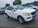 MERCEDES-BENZ ML 350 4MATIC 4JGDA5HB1EA359999 снимка