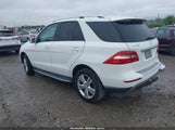 MERCEDES-BENZ ML 350 4MATIC 4JGDA5HB1EA359999 снимка