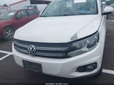 VOLKSWAGEN TIGUAN SE WVGBV7AX8DW517642 fotografie