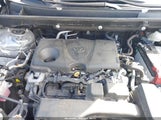 TOYOTA RAV4 XLE 2T3W1RFV5RW305971 fotografie