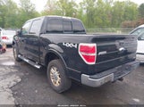 Ford F-150 Fx4/Harley-Davidson/King Ranch/Lariat/Platinum/Xl/Xlt 1FTFW1EV4AFB31028 fotografie