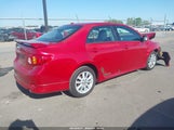 TOYOTA COROLLA S 2T1BU4EE6AC253811 снимка