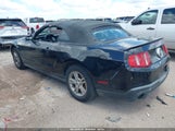 FORD MUSTANG V6/V6 PREMIUM 1ZVBP8EN7A5127918 photo