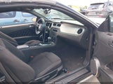FORD MUSTANG V6/V6 PREMIUM 1ZVBP8EN7A5127918 photo