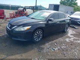 NISSAN ALTIMA 2.5 SV 1N4AL3AP5GC167462 fotografie
