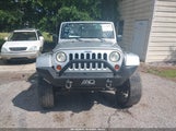 JEEP WRANGLER UNLIMITED SAHARA 1J4GA59168L537755 fotografie