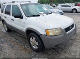 FORD ESCAPE XLT 1FMYU04111KE56911 снимка