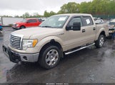 FORD F-150 FX4/HARLEY-DAVIDSON/KING RANCH/LARIAT/PLATINUM/XL/XLT 1FTFW1EV7AKE61625 fotografie