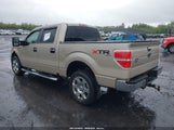 FORD F-150 FX4/HARLEY-DAVIDSON/KING RANCH/LARIAT/PLATINUM/XL/XLT 1FTFW1EV7AKE61625 снимка