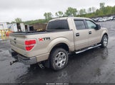 FORD F-150 FX4/HARLEY-DAVIDSON/KING RANCH/LARIAT/PLATINUM/XL/XLT 1FTFW1EV7AKE61625 fotografie