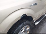 FORD F-150 FX4/HARLEY-DAVIDSON/KING RANCH/LARIAT/PLATINUM/XL/XLT 1FTFW1EV7AKE61625 снимка