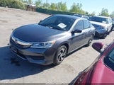 HONDA ACCORD LX 1HGCR2F38HA207596 снимка