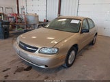 Chevrolet Malibu 1G1ND52J93M649072 снимка