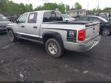 DODGE DAKOTA SLT 1D7HW48N38S536147 снимка