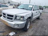 DODGE DAKOTA BIGHORN/LONESTAR 1D7CW3GK4AS140049 fotografie
