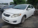 TOYOTA COROLLA LE 2T1BU4EE2AC290676 снимка