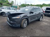 JEEP CHEROKEE LIMITED 4X4 1C4PJMDS8HW501709 снимка