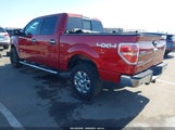 Ford F-150 Xlt 1FTFW1ETXEFB29823 снимка