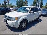 FORD ESCAPE XLT 1FMCU03739KC66748 снимка