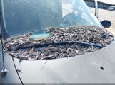 KIA SEDONA EX/LX KNDUP131436400247 снимка