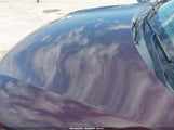 KIA SORENTO LX V6 5XYKT4A2XDG331160 photo