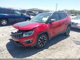 JEEP COMPASS TRAILHAWK 4X4 3C4NJDDB1KT796771 снимка