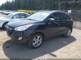 HYUNDAI TUCSON GLS KM8JU3AC0DU546911 снимка