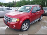 FORD ESCAPE XLT 1FMCU03789KA08788 снимка