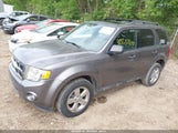 Ford Escape Xlt 1FMCU0DG2CKA43025 fotografie