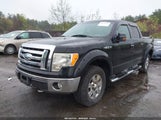 FORD F-150 FX4/KING RANCH/LARIAT/PLATINUM/XL/XLT 1FTPW14V59FB39575 fotografie