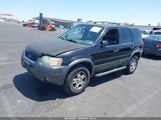 FORD ESCAPE XLT 1FMCU03123KD46447 fotografie