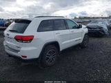 Jeep Grand Cherokee Trailhawk 4X4 1C4RJFLG0HC904036 fotografie
