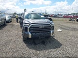 Toyota Tundra Limited 5TFJA5DB7PX067044 fotografie