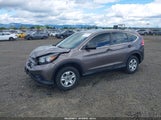 Honda Cr-V Lx 3CZRM3H38EG716315 снимка