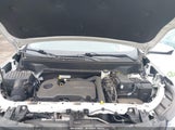 CHEVROLET EQUINOX AWD 2FL 2GNAXTEV3L6257324 снимка