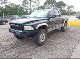 DODGE DAKOTA SLT 1D7HG48N94S740006 снимка