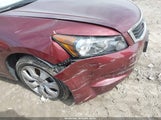 HONDA ACCORD 2.4 EX-L 1HGCP2F86AA135997 снимка