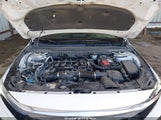 HONDA ACCORD LX 1HGCV1F12KA079416 fotografie