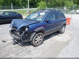 HYUNDAI TUCSON GLS/LX KM8JN12D25U174692 photo