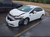HONDA CIVIC LX 2HGFB2F57EH556460 снимка