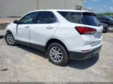 CHEVROLET EQUINOX FWD LT 3GNAXKEG7RL109032 photo