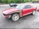 FORD MUSTANG V6 1ZVBP8AM6C5260105 снимка