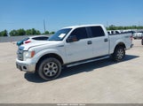 FORD F-150 XLT 1FTFW1ET0DKF04169 снимка