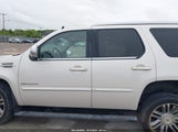 CADILLAC ESCALADE PREMIUM 1GYS4CEF8DR272495 fotografie