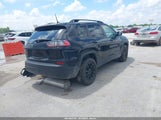 JEEP CHEROKEE ALTITUDE LUX 4X4 1C4PJMMB9PD105976 fotografie