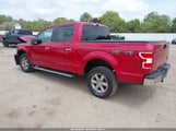 FORD F-150 XLT 1FTEW1EP4LFB14309 снимка