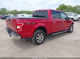 FORD F-150 XLT 1FTEW1EP4LFB14309 снимка