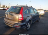 HONDA CR-V LX 5J6RE3H36AL041199 fotografie