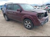 Honda Pilot Ex-L 5FNYF4H62CB019446 fotografie
